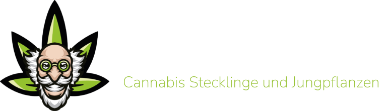 Doc Greenthumb Cannabis Stecklinge