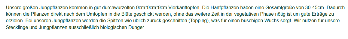Größenangaben Cannabis Jungpflanze