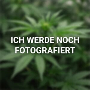 Platzhalter