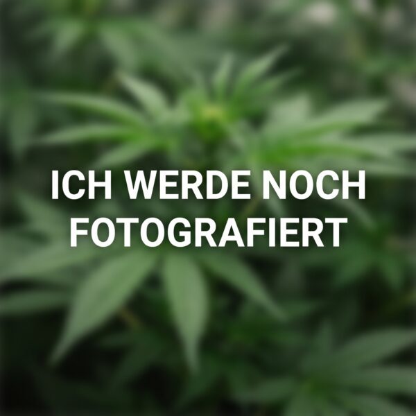 Produktbild wird erwartet